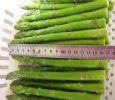 Frzoen Green Asparagus